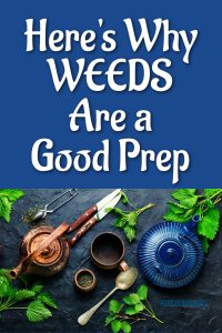 Here’s Why Weeds Are a Good Prep