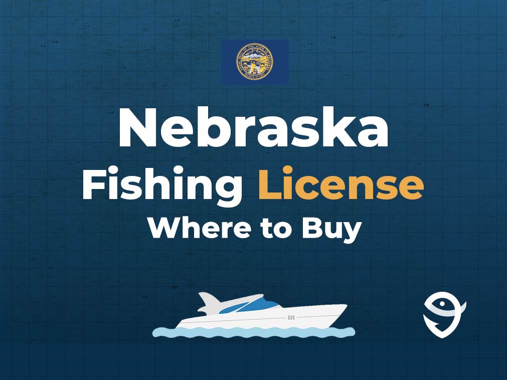 An infographic featuring the flag of Nebraska above text that says "Nebraska fishing licence, where to buy", along with an illustration of a boat underneath against a blue background