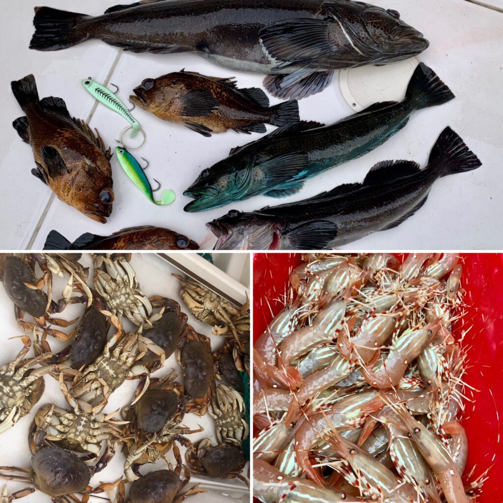 prawning_vancouver_Crabbing_vancouver_lingcod_vancouver_rockfish_vancouver