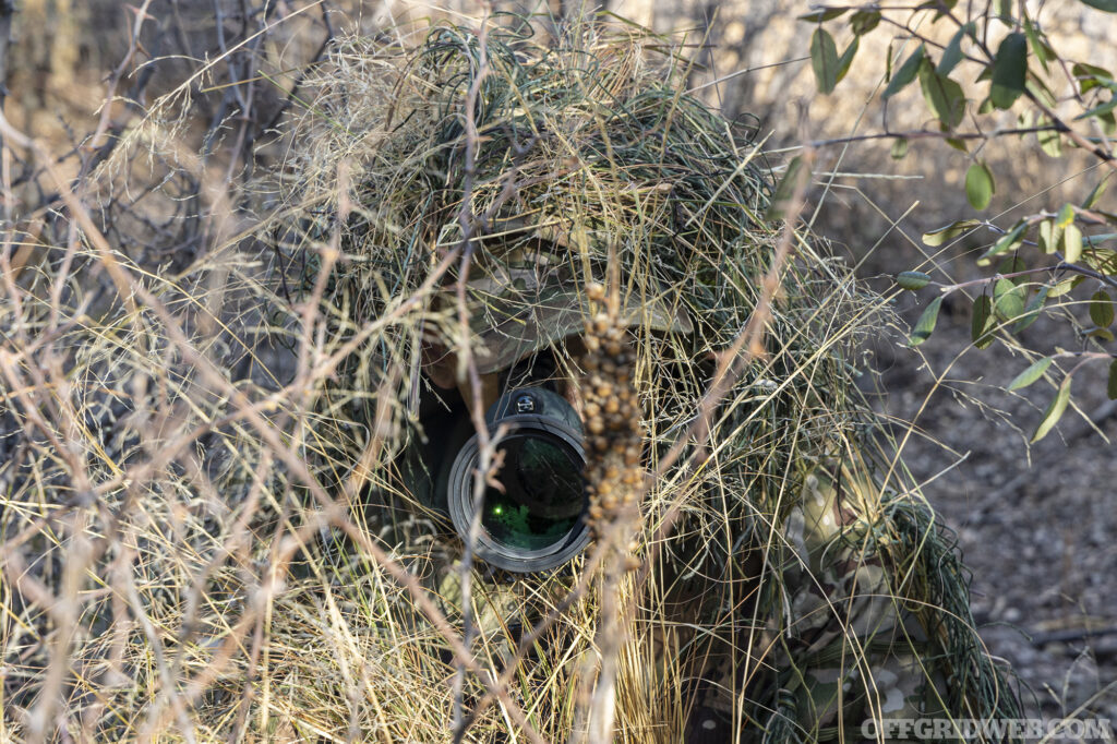 Observer hidden in the brush.