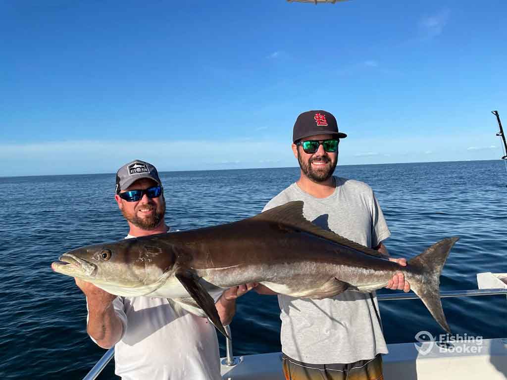 Two men in baseball caps and sunglasses holding a large Cobia aboard a fishing charter in the middle of the ocean on a clear day