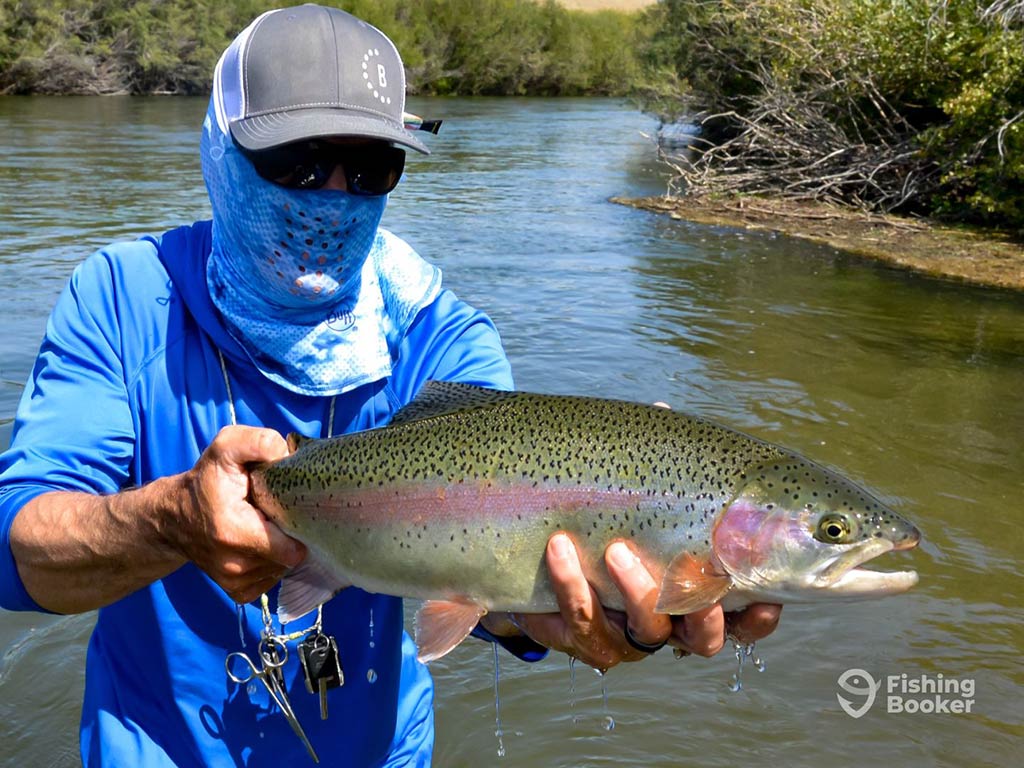 An angler in a blue shirt and face bluff holding a Rainbow Trout next to a river in Montana on a bright day