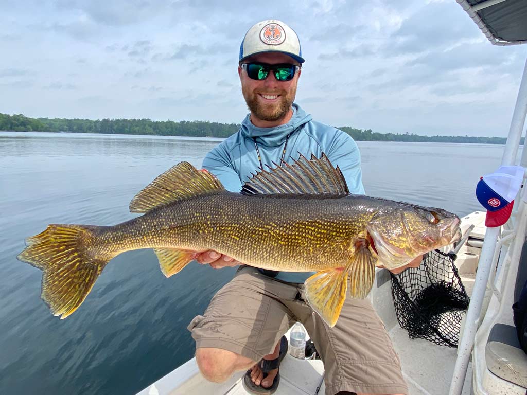 An angler in sunglasses and a hat crouching on a boat while holding a trophy Walleye he caught fishing near Brainerd, Minnesota.