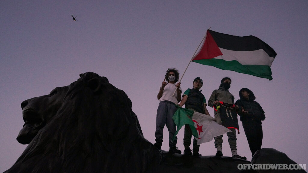 Pro Palestine protesters stand on a rocky outcrop with the Palestine flag.