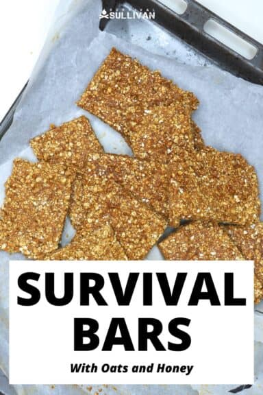 survival oat bars Pinterest image