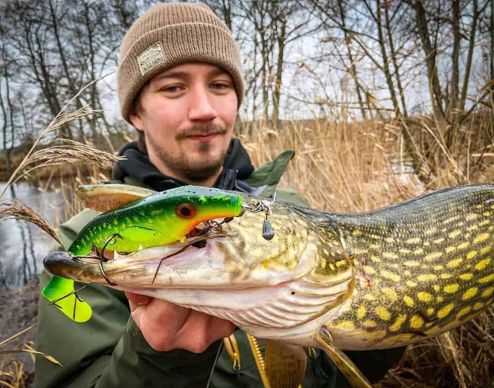 a happy angler holding a big pike that he has caught on a large softbait