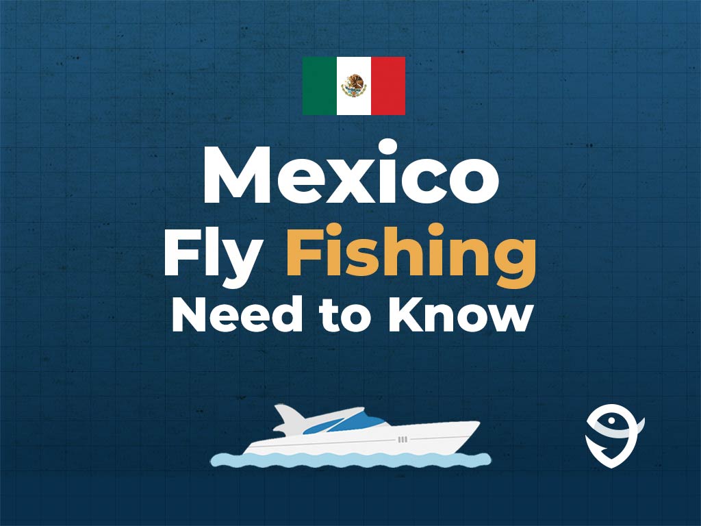 An infographic featuring the flag of Mexico above text that says "Mexico Fly Fishing, Need to Know", along with an illustration of a boat underneath against a blue background