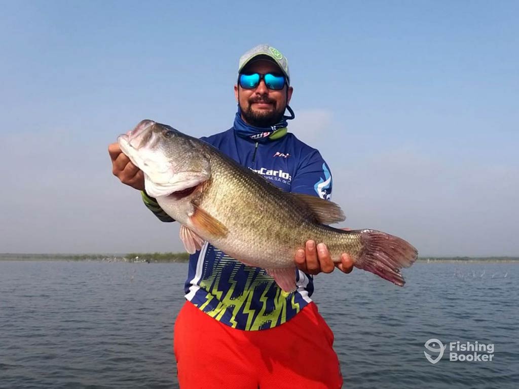 An angler in sunglasses and a baseball cap standing with the water behind him and holding a Large Bass in Mexico near sunset on a clear day