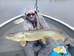 Angling Services Ireland