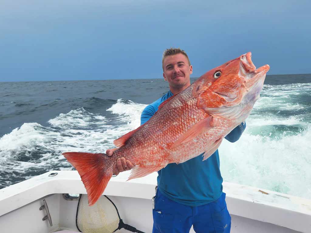 A man standing on a boat offshore from Orange Beach, one of the best fishing spots in the Gulf, holding a huge Red Snapper he caught, with the boat's wake visible in the waters behind him.