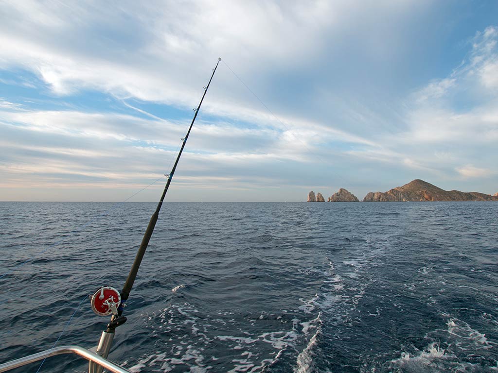 A view out of the back of a fishing charter in Cabo San Lucas with a fishing rod trolling behind the boat on the left of the image