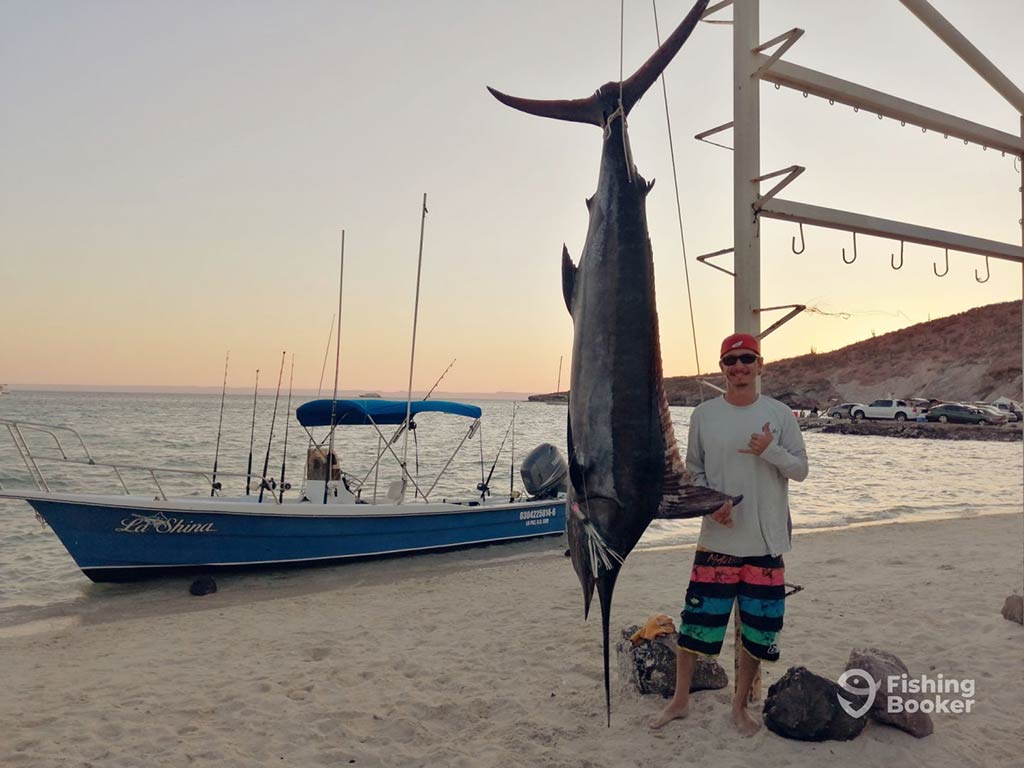 A man stands next to a large Marlin that's hanging by its tail on a Mexico beach at sunset, with a panga fishing boat and the Sea of Cortez visible in the background