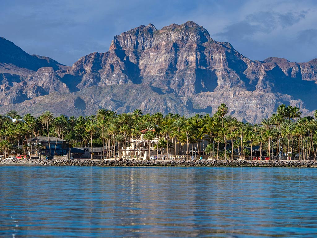 A view from the waters of the Sea of Cortez, looking towards the town of Loreto, with palm trees visible in the foreground and a large, rocky mountain visible behind