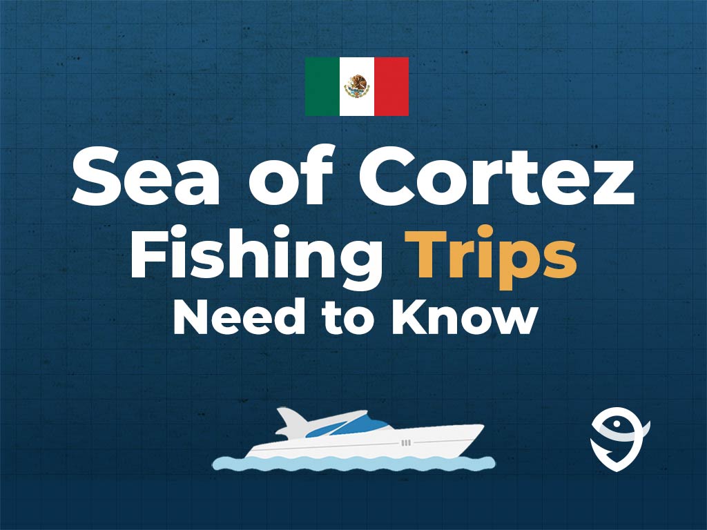 An infographic featuring the flag of Mexico and text featuring "Sea of Cortez Fishing Trips: Need to Know" against a blue background with a vector of a boat and the FishingBooker logo visible too