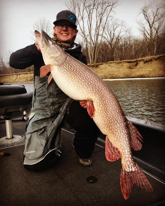 How Big Do Pike Get? (Average and Maximum Size)