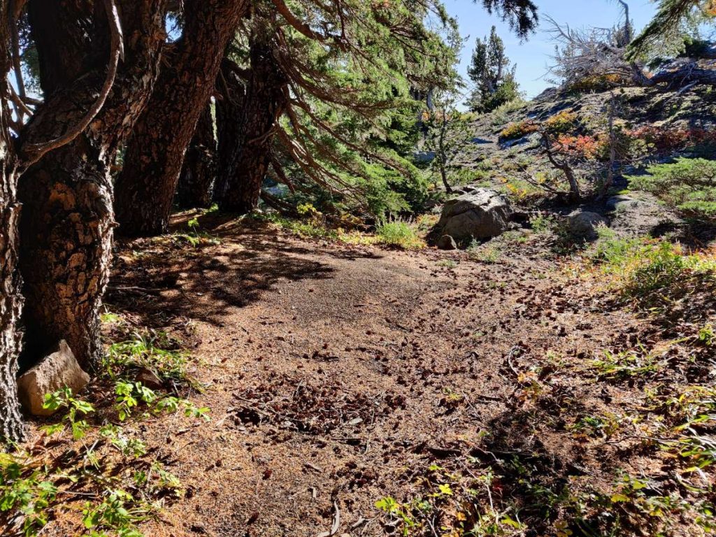 How to Backpack Around Mt. Hood on the Iconic Timberline Trail