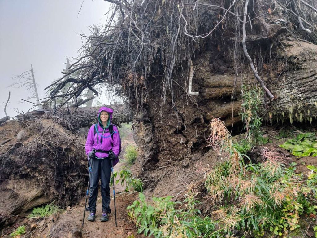 How to Backpack Around Mt. Hood on the Iconic Timberline Trail