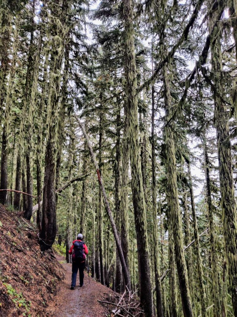 How to Backpack Around Mt. Hood on the Iconic Timberline Trail