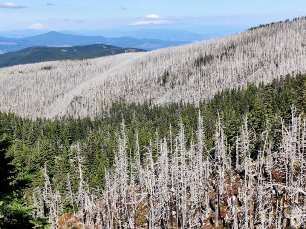 How to Backpack Around Mt. Hood on the Iconic Timberline Trail