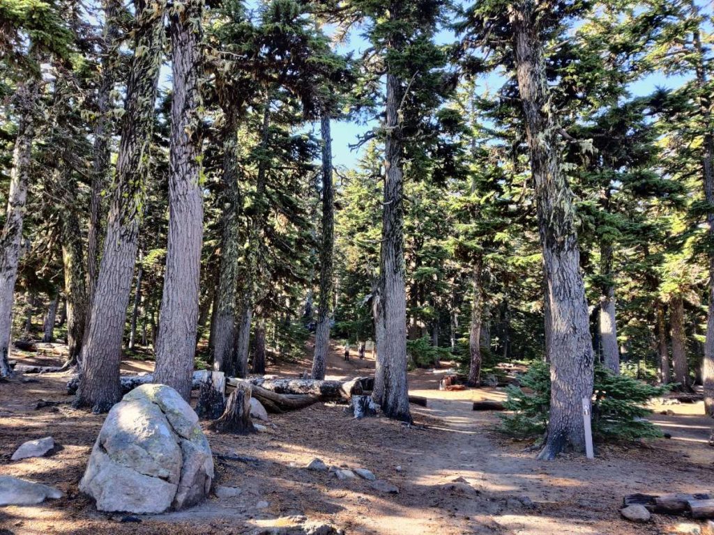 How to Backpack Around Mt. Hood on the Iconic Timberline Trail