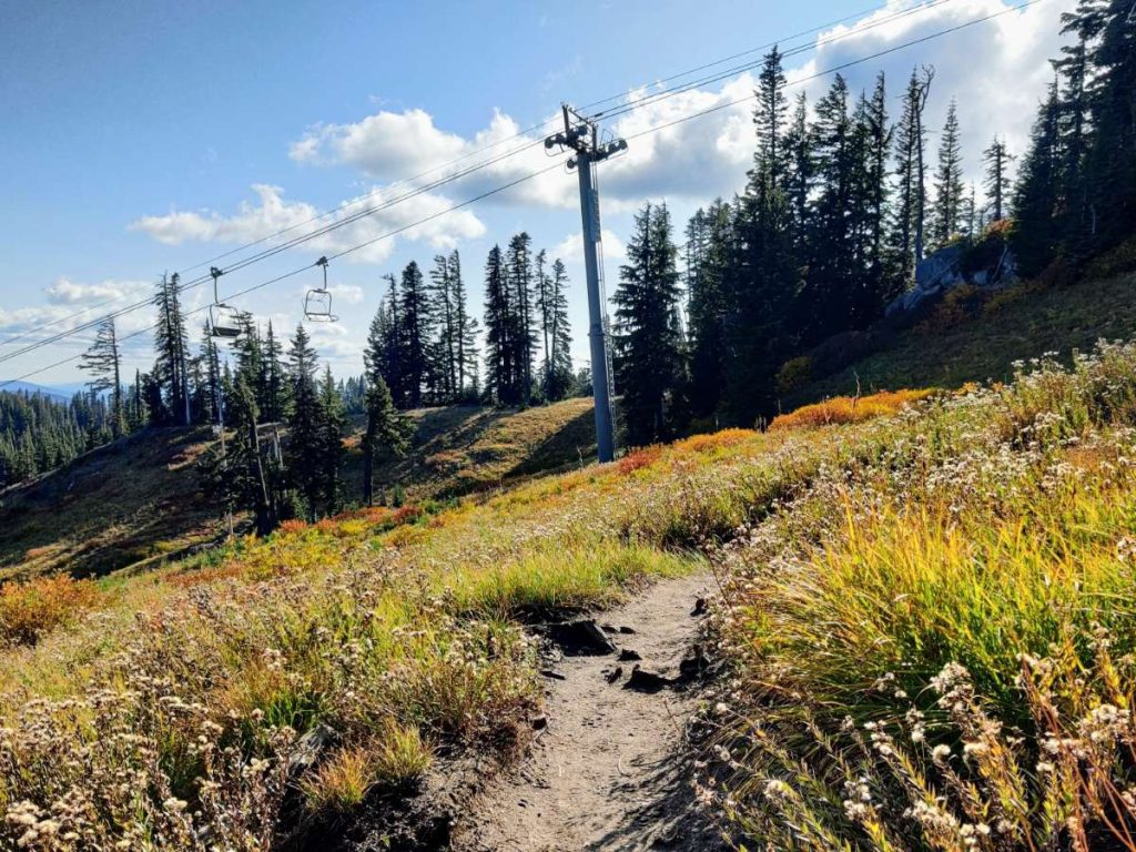 How to Backpack Around Mt. Hood on the Iconic Timberline Trail