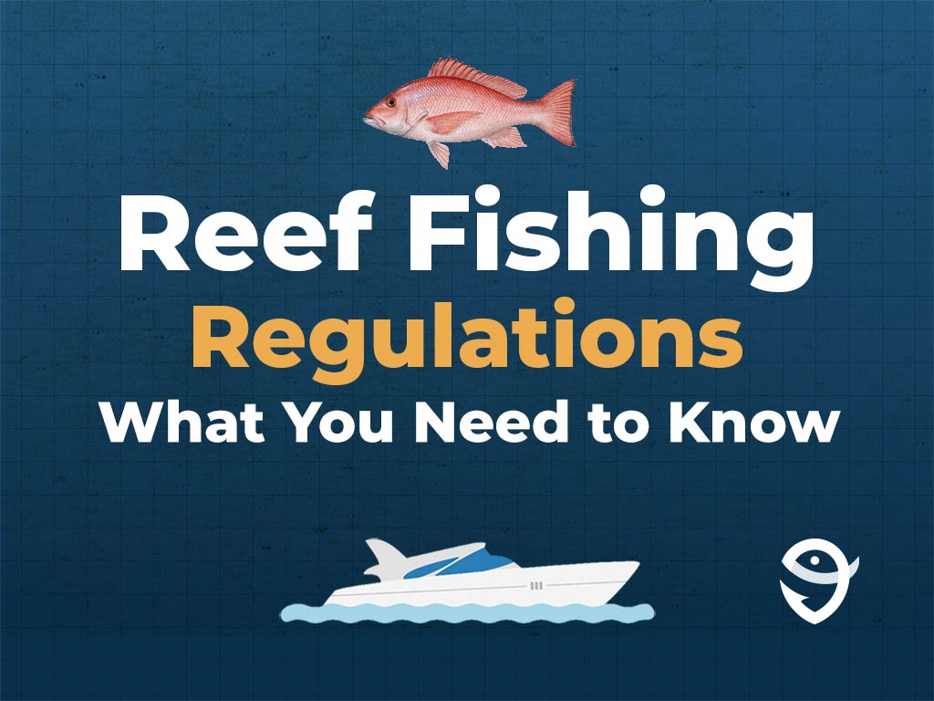 An infographic featuring a vector of a Snapper fish, a boat, and the FishingBooker logo, along with text saying "Reef Fishing Regulations: What You Need to Know" against a blue background