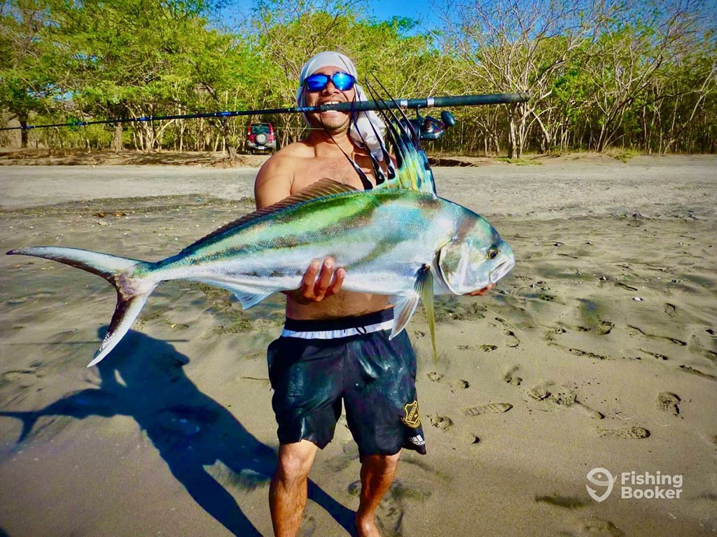 A shirtless man standing on a beach and holding a larrge Roosterfish with both hands, with his fishing rod held between his teeth on a sunny day