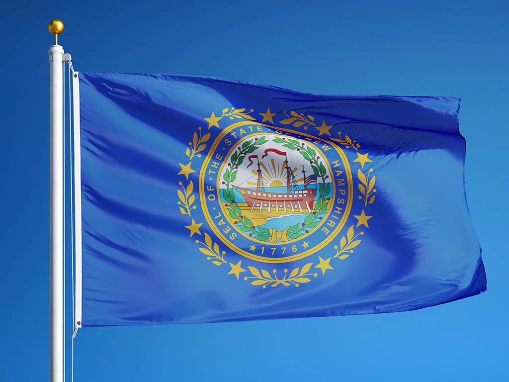 The flag of New Hampshire flying from a flagpole against a background of a clear blue sky