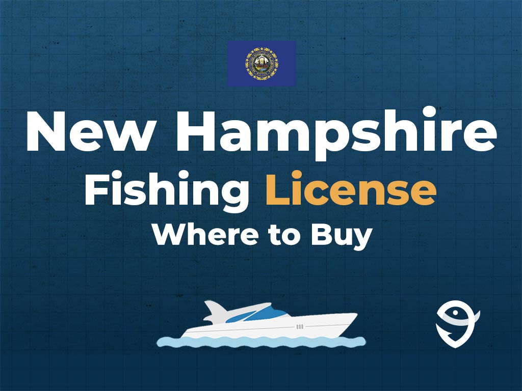 An infographic featuring the flag of New Hampshire above text that says "New Hampshire fishing licence, where to buy", along with an illustration of a boat underneath against a blue background
