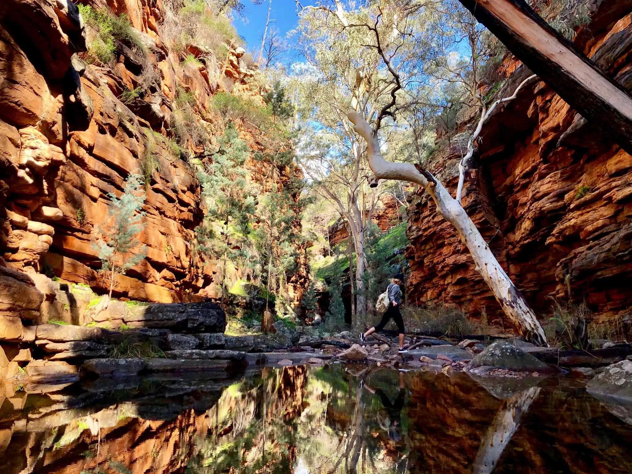 Mambray Creek in Mount Remarkable National Park, SA