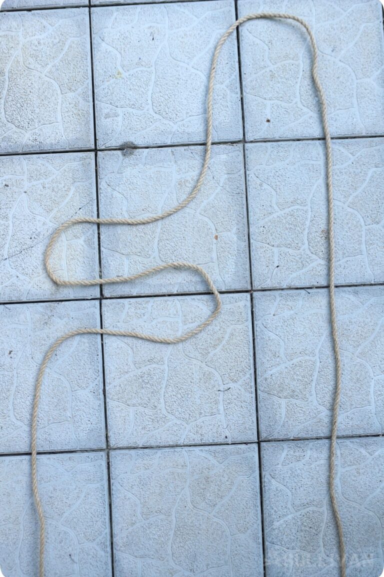 S shape in first rope