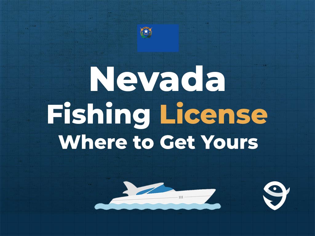 An infographic featuring the flag of Nevada above text that says "Nevada fishing licence, where to get yours," along with an illustration of a boat underneath against a blue background