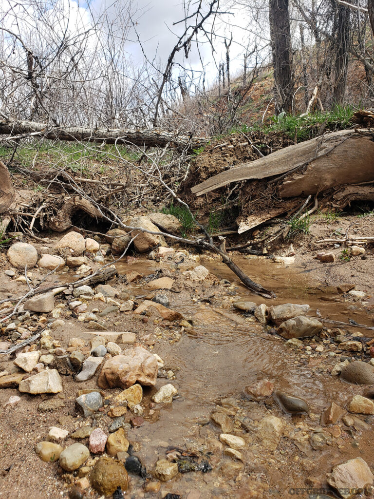 Photo of downed dead wood across a small stream.