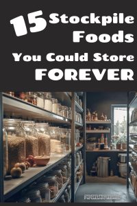 15 Stockpile Foods You Could Store Forever