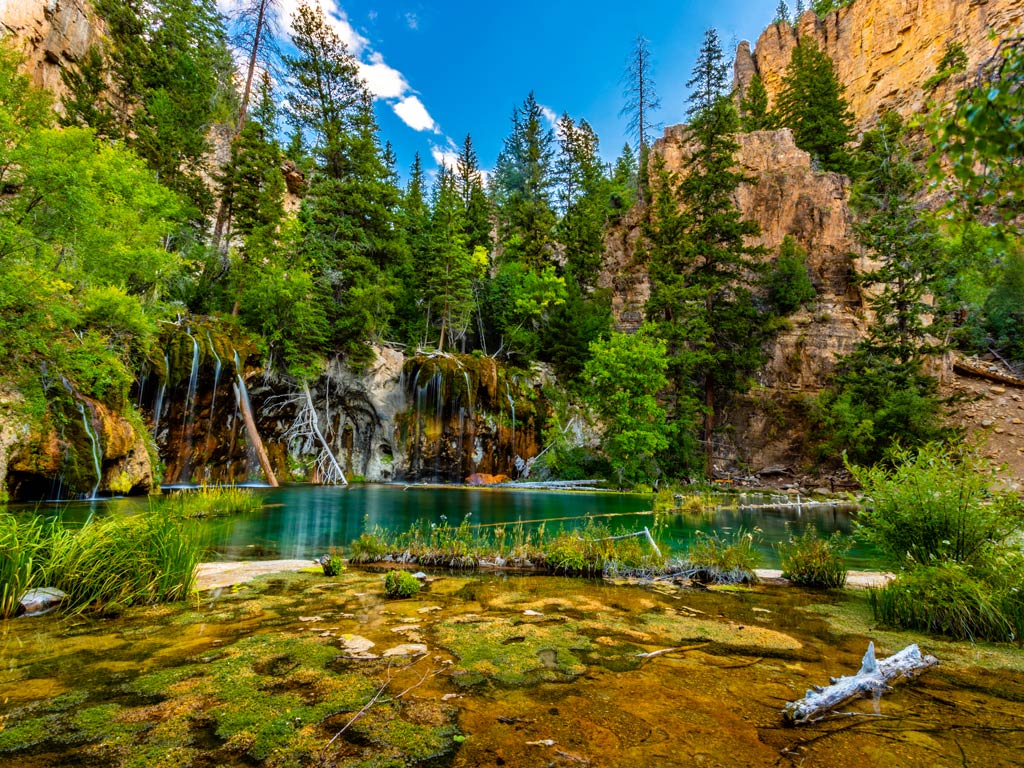 A photo featuring lush greenery surrounding Hanging Lake in Glenwood Springs in Colorado during summer