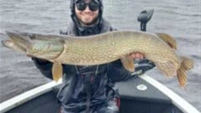 Good pike fishing on fly and lure for guests of Angling Services Ireland