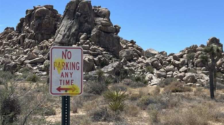 Foreign Tourists Busted for Vandalism at Joshua Tree National Park