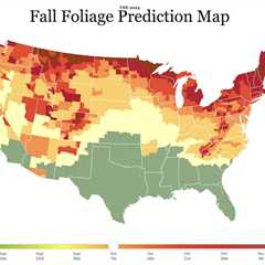 Use This Fall Foliage Tracker to Figure out Where to Go and When