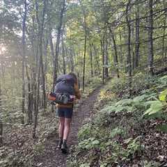 Bear-ly There: Find the Bear Hiding Along the Appalachian Trail