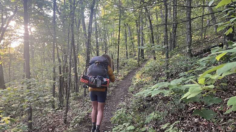 Bear-ly There: Find the Bear Hiding Along the Appalachian Trail