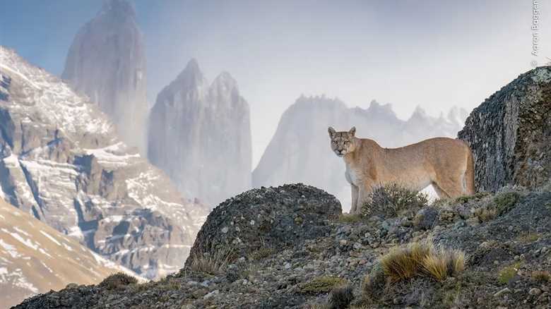 See Stunning Photos Competing for a People’s Choice Award