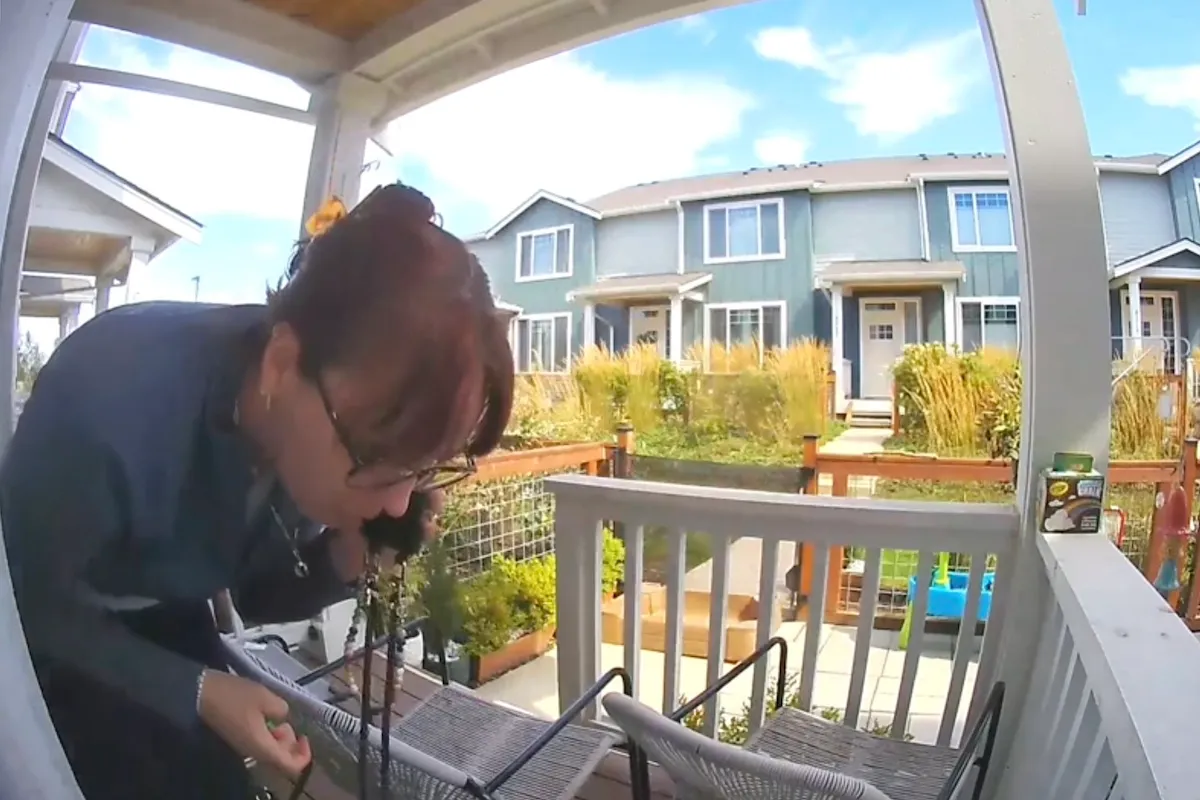 woman stops snake from eating pet frog