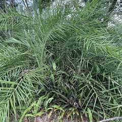 Can You Find the Hidden Snake in the Bush?