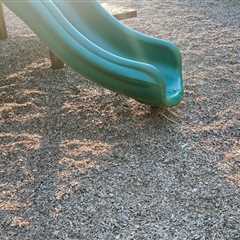 ‘I Ssspy With My Little Eye’: Spot the Rattlesnake at the Playground