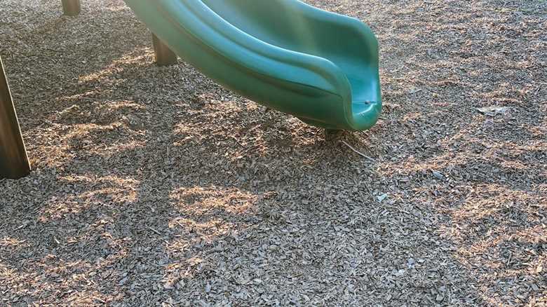 ‘I Ssspy With My Little Eye’: Spot the Rattlesnake at the Playground
