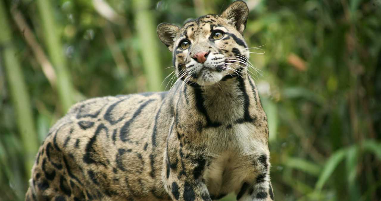Pittsburgh-Area Petting Zoo Welcomes Surprising New Animal