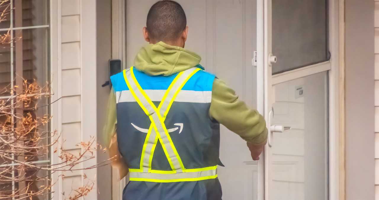 Delivery Driver Goes Viral After Adorable Interaction With Cats