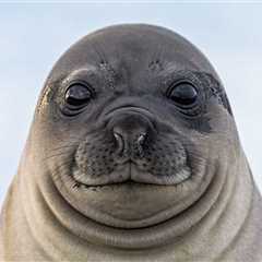 New Zealand Bar Gets A Surprise Visitor