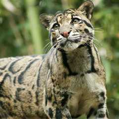 Pittsburgh-Area Petting Zoo Welcomes Surprising New Animal