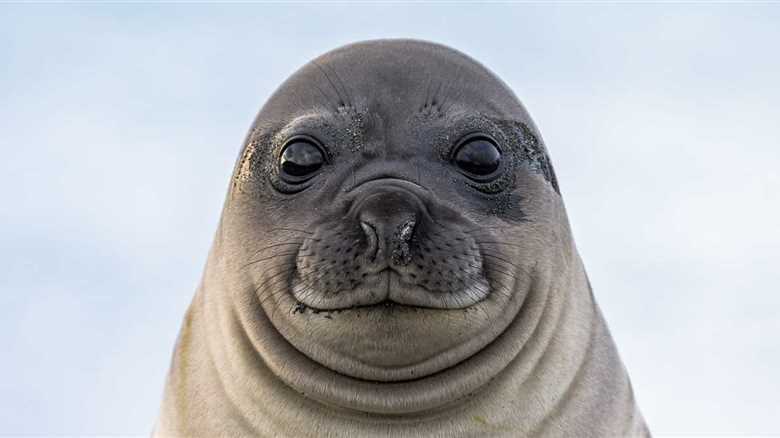 New Zealand Bar Gets A Surprise Visitor